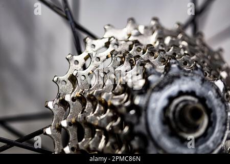 Different metal gear teeth on a rear hub bicycle wheel Stock Photo