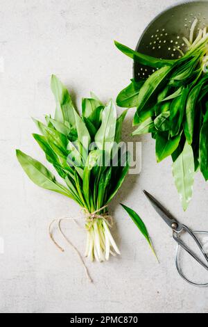 Fresh wild garlic, ramson leaves. Spring seasonal food. Stock Photo