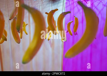 Bananas flying on a white and pink abstract background Stock Photo