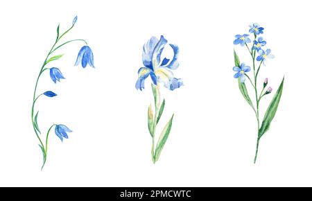 Watercolor set of blue flowers. Bluebell, iris, forget-me-not. Hand drawn botanical illustration isolated on white background. Can be used for Stock Photo