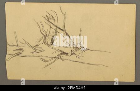 Drawing, Middle Section of a Dead Tree Trunk; Frederic Edwin Church (American, 1826–1900); USA; graphite on paper; Sheet: 16.9 x 10 cm (6 5/8 x 3 15/16 in.) Stock Photo