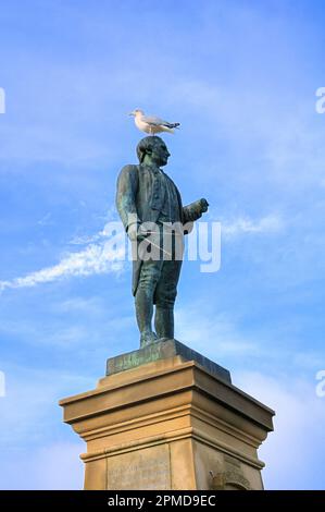 Bronze statue of famous British explorer Captain James Cook (1728-1779) with seagull (herring gull), West Cliff, Whitby, North Yorkshire, England, UK Stock Photo