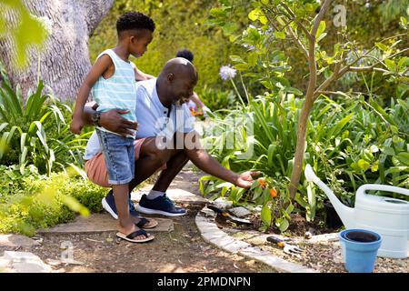 African american grandfather looking at bell pepper plant while gardening with grandson in yard Stock Photo