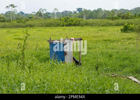 Belen in Iquitos, Peru is a lowland area of extreme poverty Stock Photo