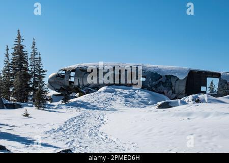 Emergency Transmission mural on Miss Piggy crashed aircraft in Churchill, Manitoba, Canada Stock Photo