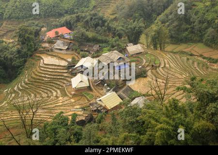 Rice Paddies in the landscape. Photographed in northwestern Vietnam Stock Photo