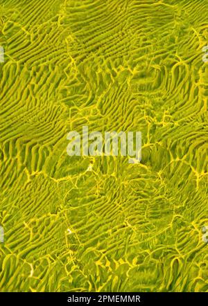 Abstract colourful green and yellow wallpaper Stock Photo