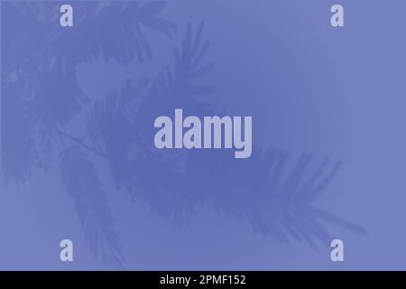 The shadow of tropical fern leaves on a blue wall. Vector image for photo overlay or mockup. Stock Vector