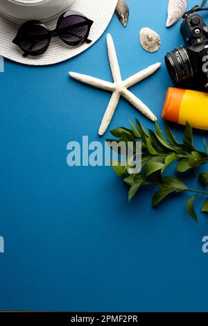 Straw hat, sunglasses, camera, sunscreen, plant and seashells on blue background with copy space Stock Photo