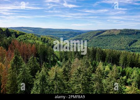 France, Ardennes, Ardennes Regional Nature Park, Monthermé, Ardennes forest (aerial view) Stock Photo