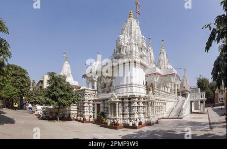 India, Gujarat, Ahmedabad, Shri Swaminarayan Mandir temple Stock Photo