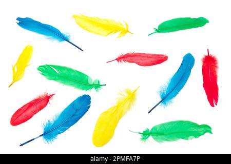 Bright trendy background with pattern of colored feathers on white. Top view, flat lay Stock Photo