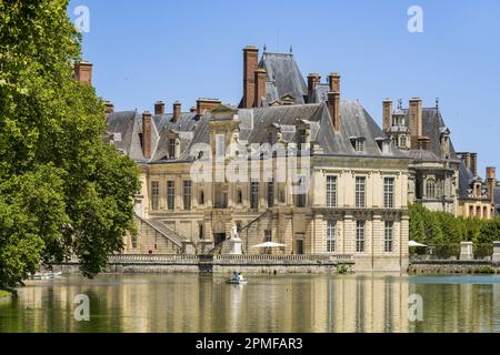 France, Seine-et-Marne, Fontainebleau, castle of Fontainebleau listed as World Heritage by UNESCO, the Belle Cheminée wing and its monumental staircase overlooking the Cour de la Fontaine, the carp pond in the foreground Stock Photo