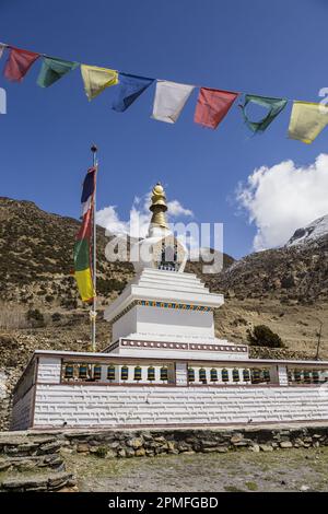 Nepal, Annapurna Conservation Area Project, Annapurna circuit, between Manang and Gunsang, stupa Stock Photo