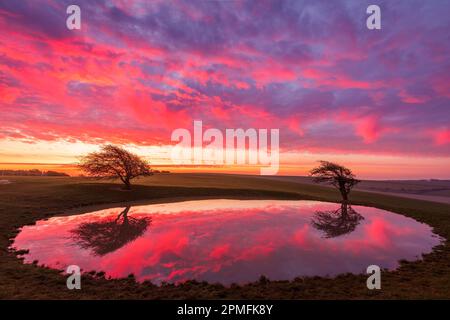 Vibrant dawn sky reflecting in the Ditchling beacon dew pond on the south downs way east Sussex south east England Stock Photo