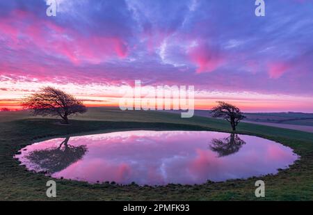 Vibrant dawn sky reflecting in the Ditchling beacon dew pond on the south downs way east Sussex south east England Stock Photo