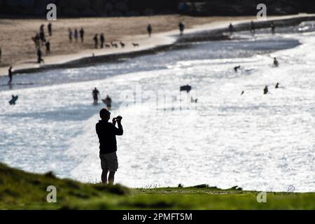 The silhouette of a man standing on The Headland using his smart phone to photograph surfing activity at Fistral in Newquay in Cornwall in England in Stock Photo