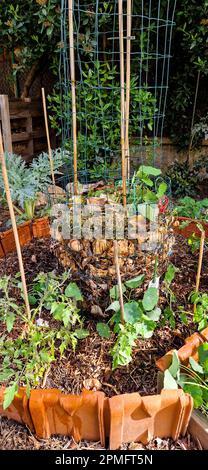 Early spring gardening, Bron, France Stock Photo - Alamy