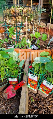 Early spring gardening, Bron, France Stock Photo - Alamy