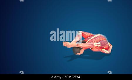 3D human Supta Kurmasana or Reclining Turtle yoga pose on blue ...