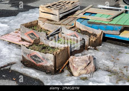 Soil filled and weathered wooden Maroc clementine boxes Stock Photo