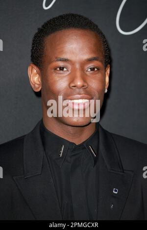 Micheal Ward attends the UK premiere of 