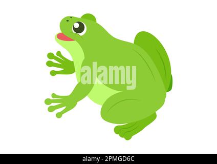 Cartoon green frog. Vector illustration of green frog Stock Vector
