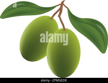 Clipart Vector Olive Stock Vector