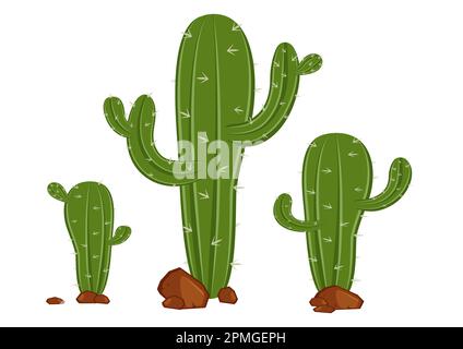 Different Types Of Cactus In Flat Style Vector Stock Vector