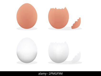 Egg, eggs, broken egg Stock Vector