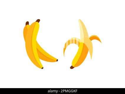 Fresh Banana Fruits vector Stock Vector