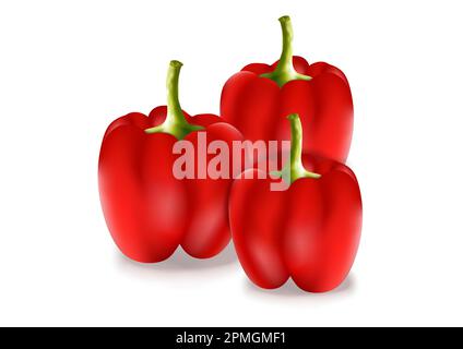 Realistic Red Pepper Vector Illustration. Three Red Peppers Stock Vector