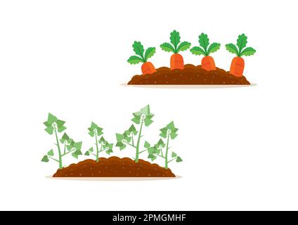 Potato and carrot harvest clipart Stock Vector