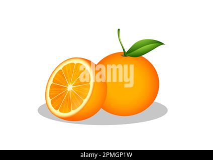 Orange and half orange fruit vector illustration isolated on white background Stock Vector