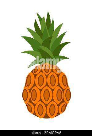 Vector illustration of pineapple isolated on white background Stock Vector