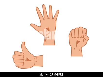 Three different hand positions. Closed hand, open hand and like Stock Vector