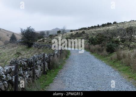 A dry stown wall and stone path lead to Wistman's Wood on Dartmoor on the 28th October 2022. Wistmans Wood is one of three remote high-altitude oakwoo Stock Photo