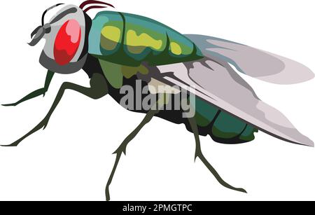 Fly Insect Animal Vector Stock Vector