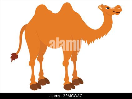 Vector Illustration of Camel isolated on white background. Clipart Camel Stock Vector