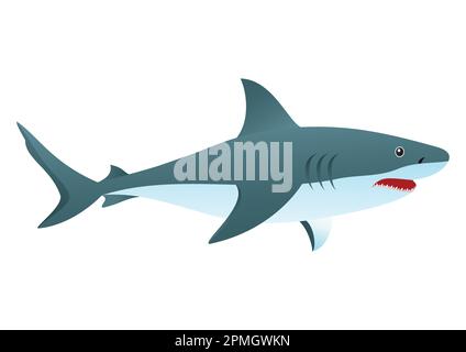 Vector Illustration of Shark isolated on white Background Stock Vector