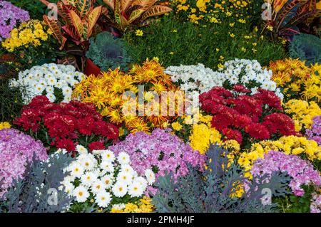 The New England Fairs around the various states show off their harvest of crops and the care for farm animals. Stock Photo