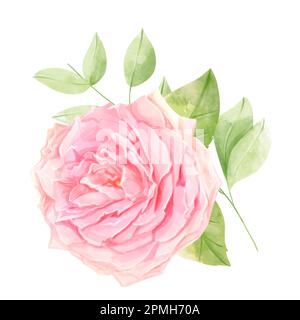 Wedding drawings. Watercolor painting. Greeting Cards. Floral background Stock Photo