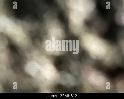 Abstract neutral coloured wallpaper background of macro blurred lichen. Stock Photo
