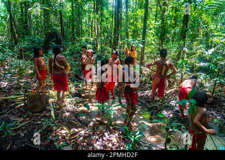 Women Of The Yanomami Tribe With Their Children In Front Of A Hut ...