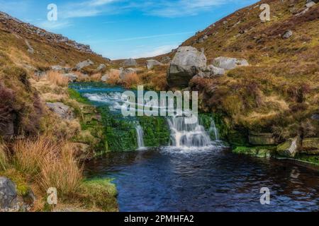 Waterfalls on The Infant Tarnbrook Wyre in Gables Clough above Tarnbrook in The Forest of Bowland Lancashire Stock Photo