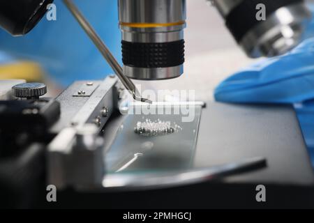 Scientist examines crystals under microscope in laboratory Stock Photo