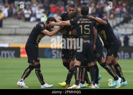 Pumas store football club