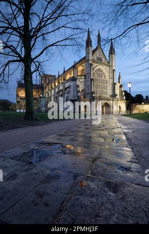Winchester Cathedral floodlit at night in winter with reflections on wet pavement in foreground, Winchester, Hampshire, England, United Kingdom Stock Photo