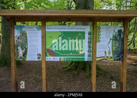 Information board at the entrance to the primeval forest Sababurg, Rheinhardswald, North Hesse, Germany Stock Photo