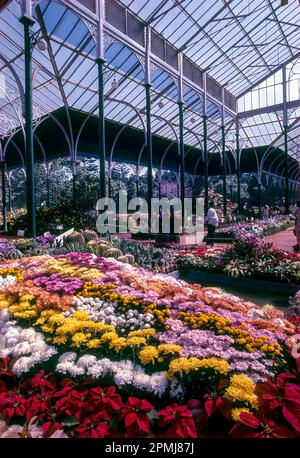 Flower show in glass house at Lal Bagh botanical gardens in Bengaluru Bangalore, Karnataka, South India, India, Asia Stock Photo